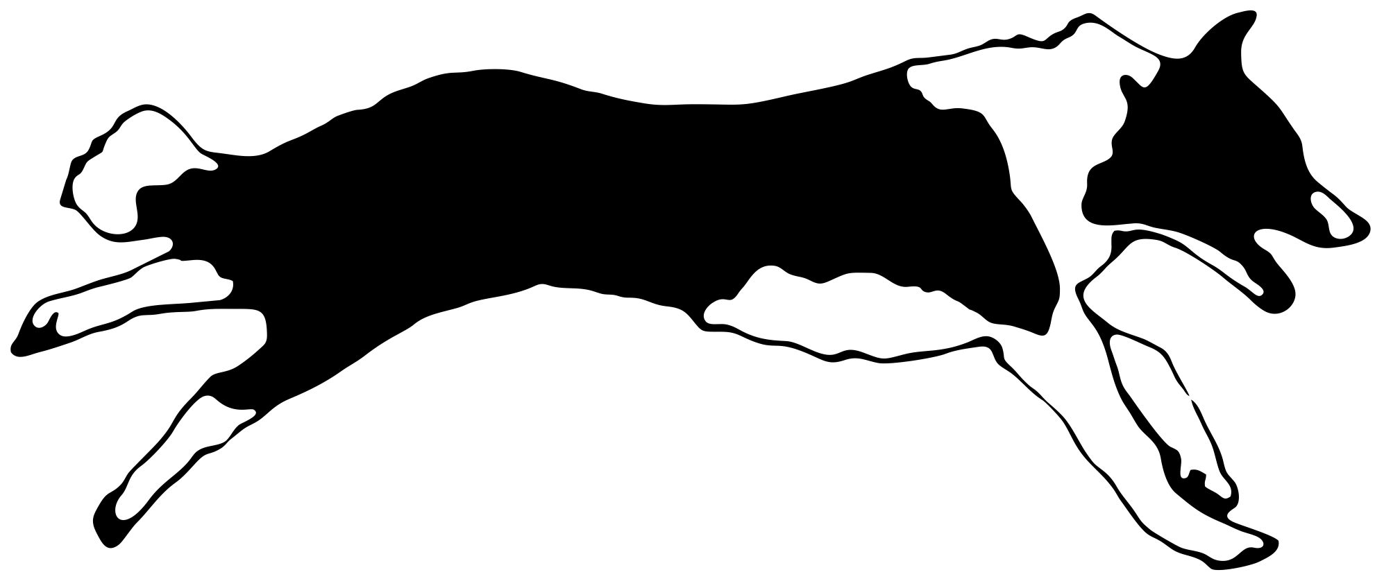 Border Collie Running Logo 2012.
